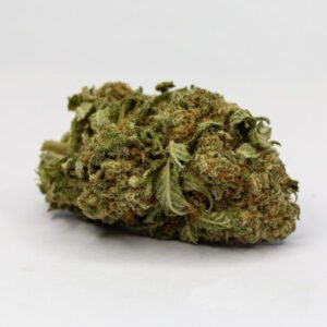 Pre-98 Bubba Kush