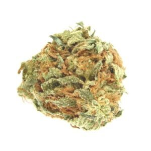 AK-47 STRAIN