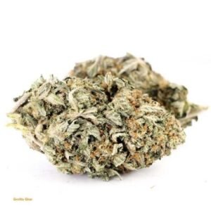 Gorilla Glue