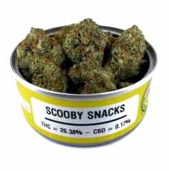 Space Monkey Scooby Snacks