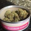 Platinum Hawaiin Smartbud
