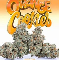 Jungle Boys Orange Cookies
