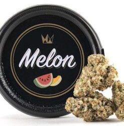 West Coast Cure Melon