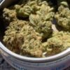 Snow Cookies SmartBud