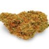Sour Cheese Strain