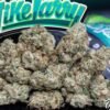 Jungle Boys Mike Larry