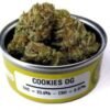 Space Monkey cookies og Strain